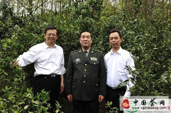 有关于湖南“领袖颂”牙尖茶喜获大奖的信息(1)