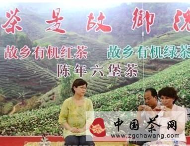 有关于韩国考察团赴昭平县开展茶文化交流的最新消息