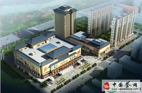 有关于茶媒代表汇聚西安 聚焦陕茶发展的新闻(3)