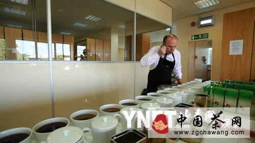 关于墙内开花墙外香 纪录片《茶》聚焦国饮现状的热门新闻