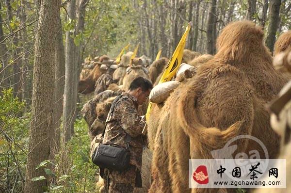 有关于“重走茶叶之路”驼友生活纪实【组图】的资讯(12)