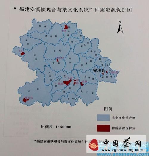 有关于安溪铁观音与茶文化系统迈上农业文化申遗路的热门消息(1)