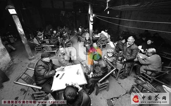 有关于老茶铺子：消失在历史深处的人情世故的信息