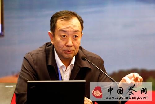 关于2013淳安千岛玉叶龙井茶发展论坛隆重举行的信息(2)