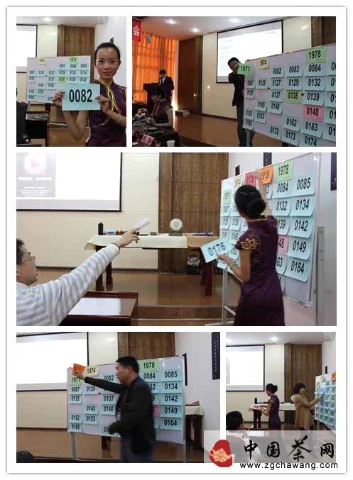 有关于众人齐品鉴曼松贡茶 普洱茶之王将问鼎茶界的热门消息