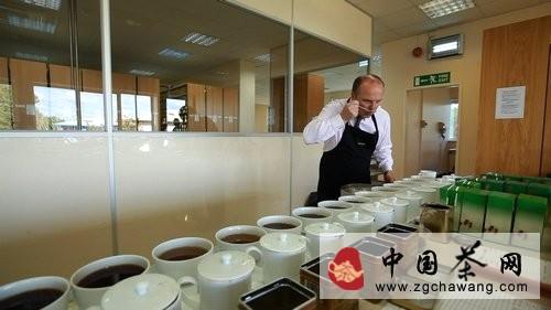 关于《茶》揭秘英式下午茶 首度曝光英国唯一茶园的最新资讯(18)