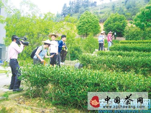 有关于信阳34家茶企组团参展游茶乡的热门消息