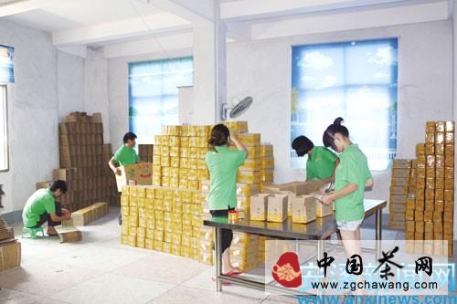 有关于“双十一”网络商战的安溪力量的热门资讯(2)