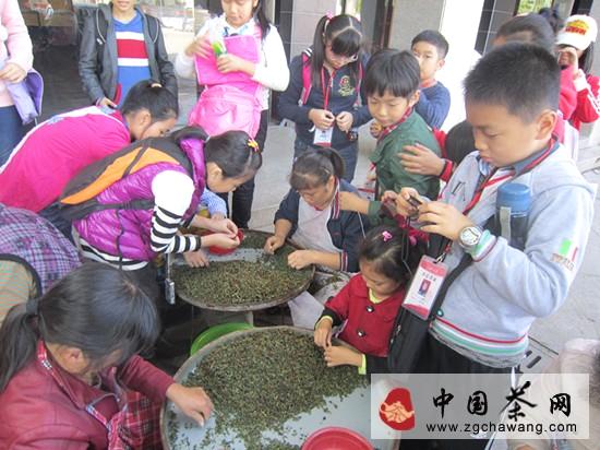 关于走进茶都感受茶文化的资讯