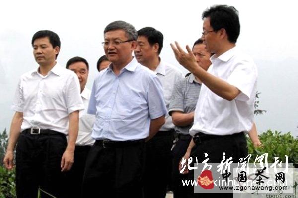 关于紫阳洄水镇千户茶农建万亩富硒茶园的资讯