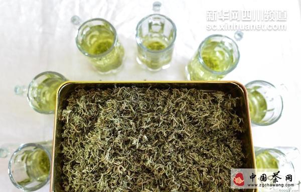 有关于甘孜雪域俄色茶促农牧民增收致富的最新资讯(2)
