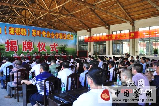 有关于湘鄂赣逾两百家茶叶合作社浏阳结盟 进行深度整合的信息