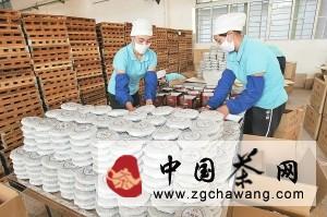 有关于云南省茶叶出口稳步增长 质量管控促云茶产业发展的热门消息