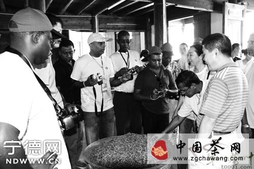有关于发展中国家茶叶官员及学者考察福鼎茶产业的资讯