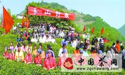 关于“紫阳富硒茶”独家冠名辽宁茶城评选的热门消息