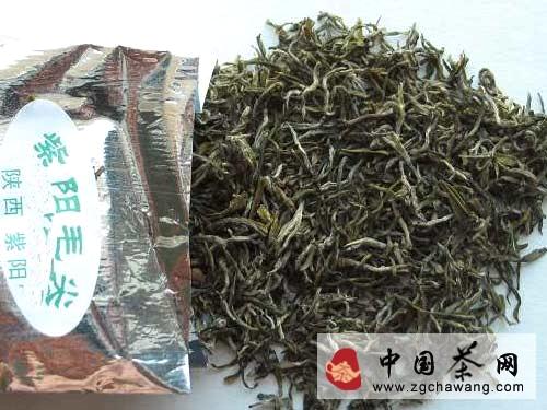 有关于逛陕南 体味源远流长的茶文化的热门资讯(1)