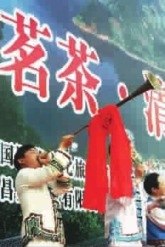 有关于上海国际茶文化旅游节助推夷陵茶叶产业发展的最新信息
