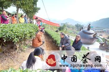 关于茶叶专家给昭平群众传授有机茶施肥知识的最新消息