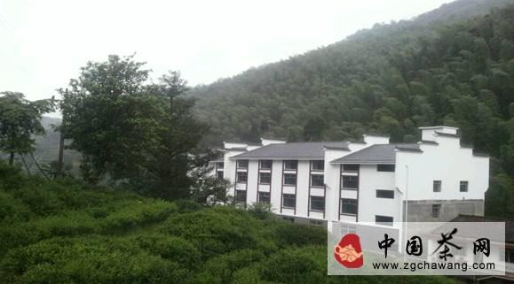 关于探访武夷山市骏德茶业：看武夷山茶企的五年变迁的新闻(1)