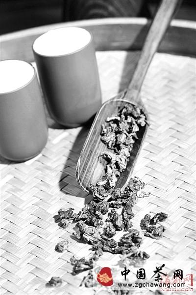 有关于恰逢十年来最佳采制气候 今年的铁观音秋茶杠杠的的信息