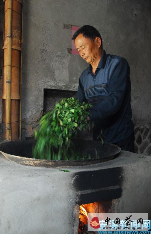 有关于安溪铁观音与茶文化系统迈上农业文化申遗路的热门消息(3)