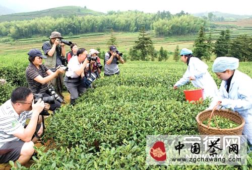关于“美丽中国·寻找福建最美茶乡”摄影采风团深入霞浦的热门消息