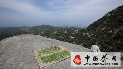有关于《茶》 央一开播 四看点探寻茶文化的信息
