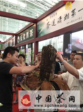 有关于哈尔滨茶博会：东北大汉的安化黑茶缘的热门新闻(1)