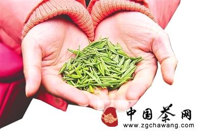 关于武夷山红茶金骏眉：生态茶产业造福茶农的最新资讯