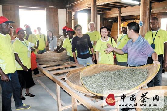 关于外国学员赴点头考察茶产业的消息
