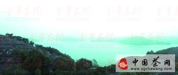 有关于礼品茶瞄上大众路线的热门信息