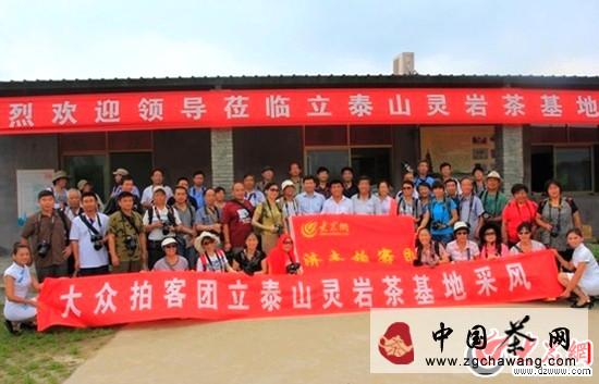 有关于茗动泉城：济南拍客灵岩茶采风归来的热门信息