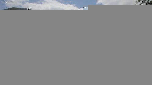 有关于【央视纪录】《茶,一片树叶的故事》之二“路的尽头”的最新资讯(7)