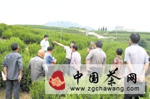有关于东阳汽校组织马宅茶农参观“茶乡”（图）的信息