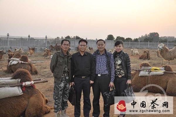 有关于“重走茶叶之路”驼友生活纪实【组图】的资讯(7)