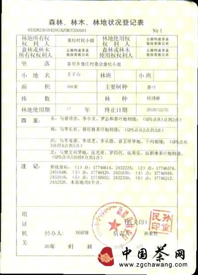 关于理解曼松贡茶 从稀有开始的热门消息(1)