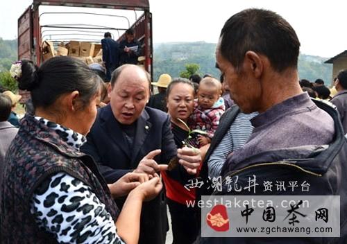 有关于竹山县无性系茶苗大田栽植使用“新技术”(图)的热门消息(1)