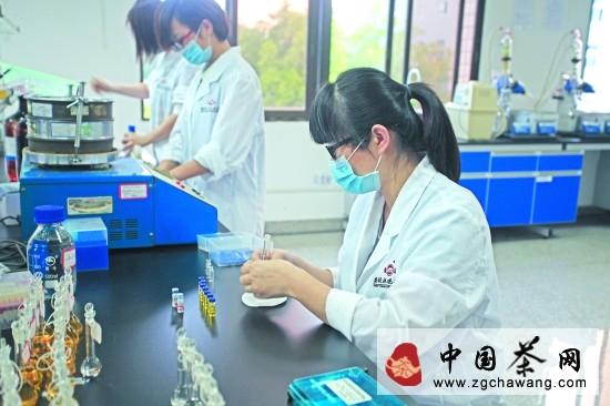 有关于只有科技 才能为茶叶企业注入新活力的热门信息(1)