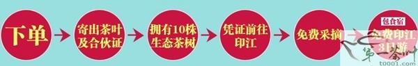 关于聚划算首推印江县28万亩茶树预定的热门消息(4)