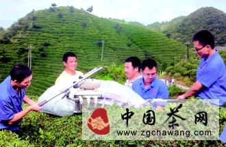 有关于贵州省加快建设高效茶园 多元产品提高茶叶效益的新闻