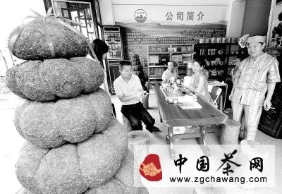 关于古树茶飙涨引发泡沫隐忧 游资炒作不可忽视的新闻
