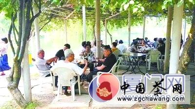 关于厦门人到公园泡茶欢度国庆节假日的新闻