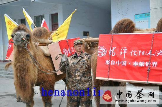 有关于信阳龙潭毛尖茶“重走茶叶之路”的新闻(2)