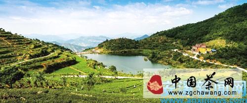 关于安溪县扶持建设千亩以上连片高标准生态茶园的热门信息