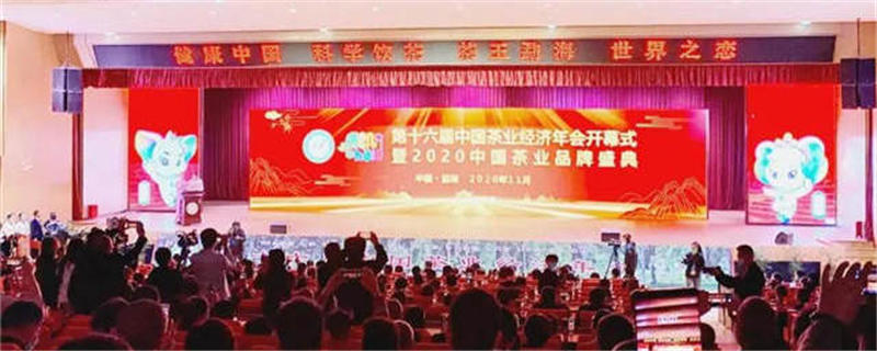 有关于聚焦中国茶业经济年会 中国茶业界“奥斯卡”奖项发布！的热门资讯