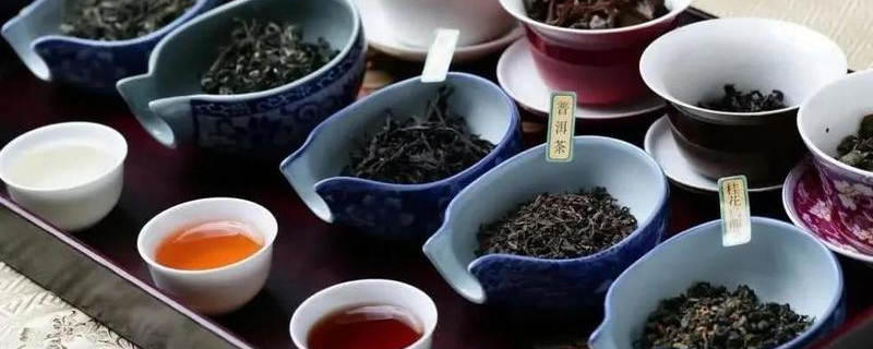 有关于茶业新品牌中，能诞生「中国的立顿」吗？的信息