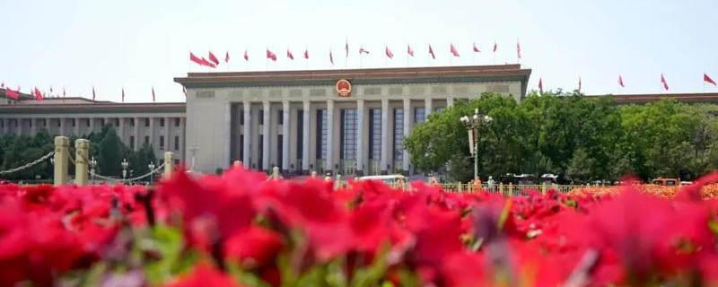 关于两会上的“茶声”指明茶业风向标，快来看吧！的资讯