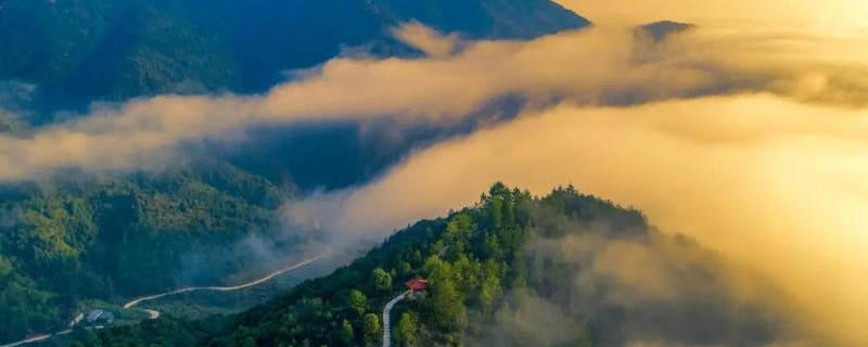 有关于福建安溪茶产业助力乡村振兴的经验与启示的热门消息