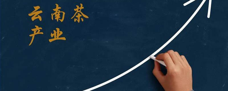 关于2020年度云南省茶产业综合产值破千亿的热门资讯