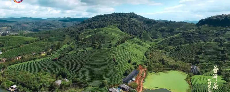 有关于优秀纪录片《普洱茶——时光在吟唱》走出国门的资讯